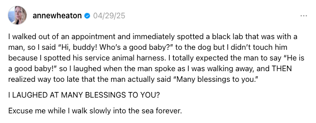 A person recounts mistaking a service dog for a pet and mishearing &quot;Many blessings to you&quot; as &quot;He is a good baby,&quot; feeling embarrassed afterward