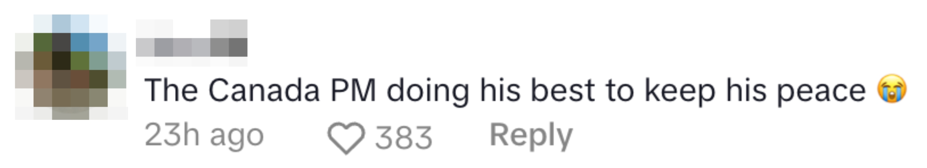 A social media comment saying, "The Canada PM doing his best to keep his peace," with a heart and crying emoji. 383 likes