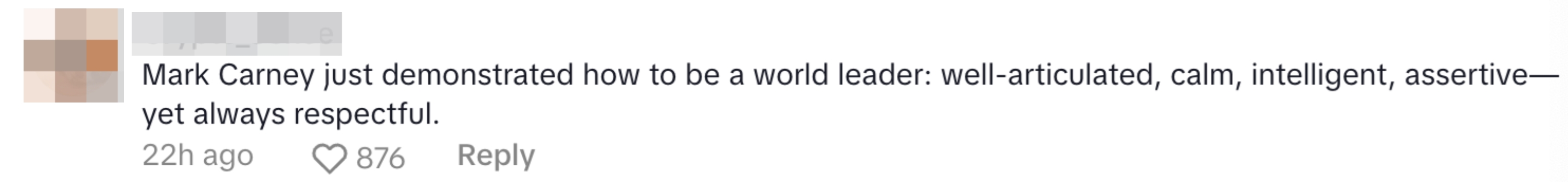 Comment praising Mark Carney as a world leader for being articulate, calm, intelligent, assertive, and respectful