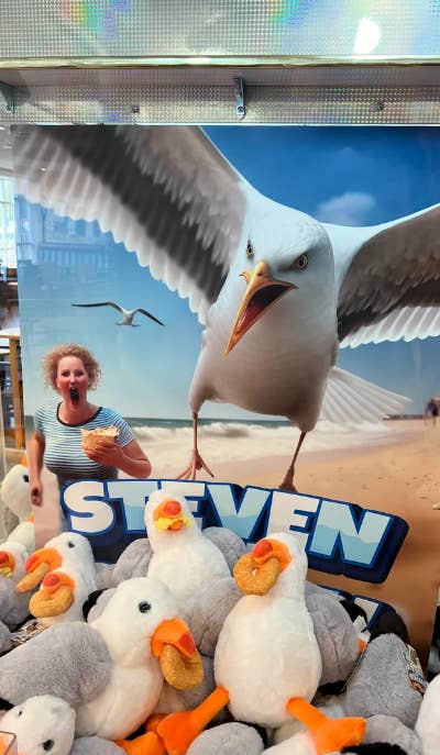 A woman poses next to a large seagull poster with her mouth open, surrounded by stuffed seagulls, humorously mimicking the seagull's expression