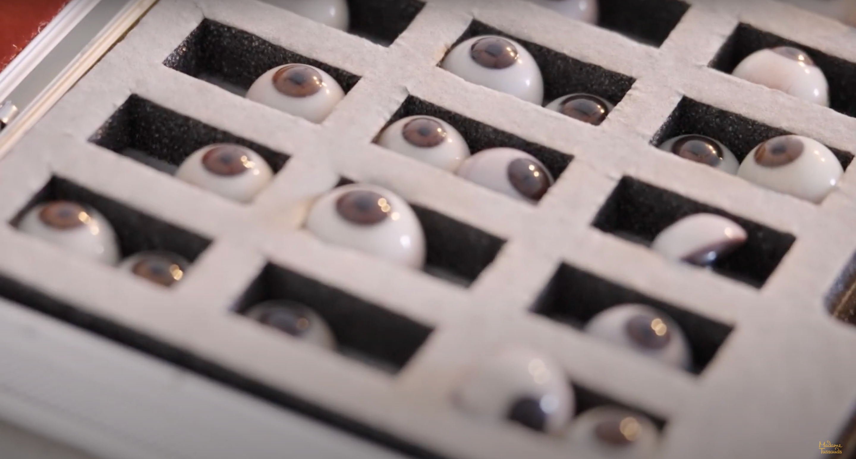 Display box containing several realistic artificial eyes arranged in rows