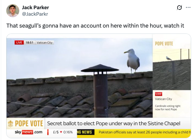 Composite image showing Vatican City roof with a seagull perched beside the text: "Secret ballot to elect Pope under way in the Sistine Chapel."