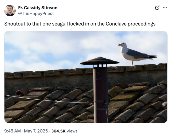 Seagull perched on a rooftop, humorously captioned about observing Conclave proceedings. Tweet by Fr. Cassidy Stinson with date and view count details