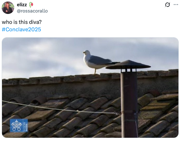 Seagull perched on a rooftop next to a chimney, with a tweet caption asking, "who is this diva?" and hashtag #Conclave2025