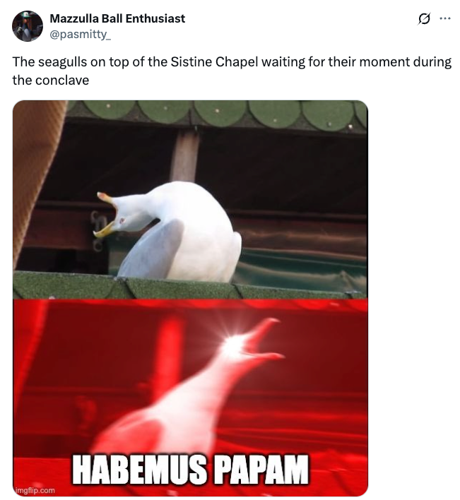 Seagull on Sistine Chapel roof, paired with dramatic "Habemus Papam" text image, humorously implying anticipation of Pope announcement