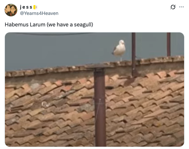 A seagull perches on a rooftop, humorously captioned as "Habemus Larum (we have a seagull)" in a tweet