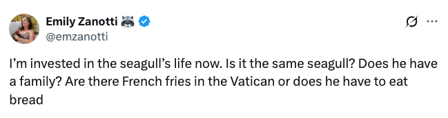Tweet by Emily Zanotti questioning a seagull's life, family, and food options in the Vatican