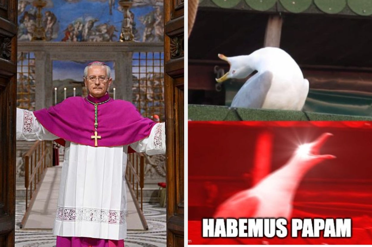 A meme comparing a bishop with arms open to a screaming seagull with the text "HABEMUS PAPAM" beneath; humorous take on papal announcement
