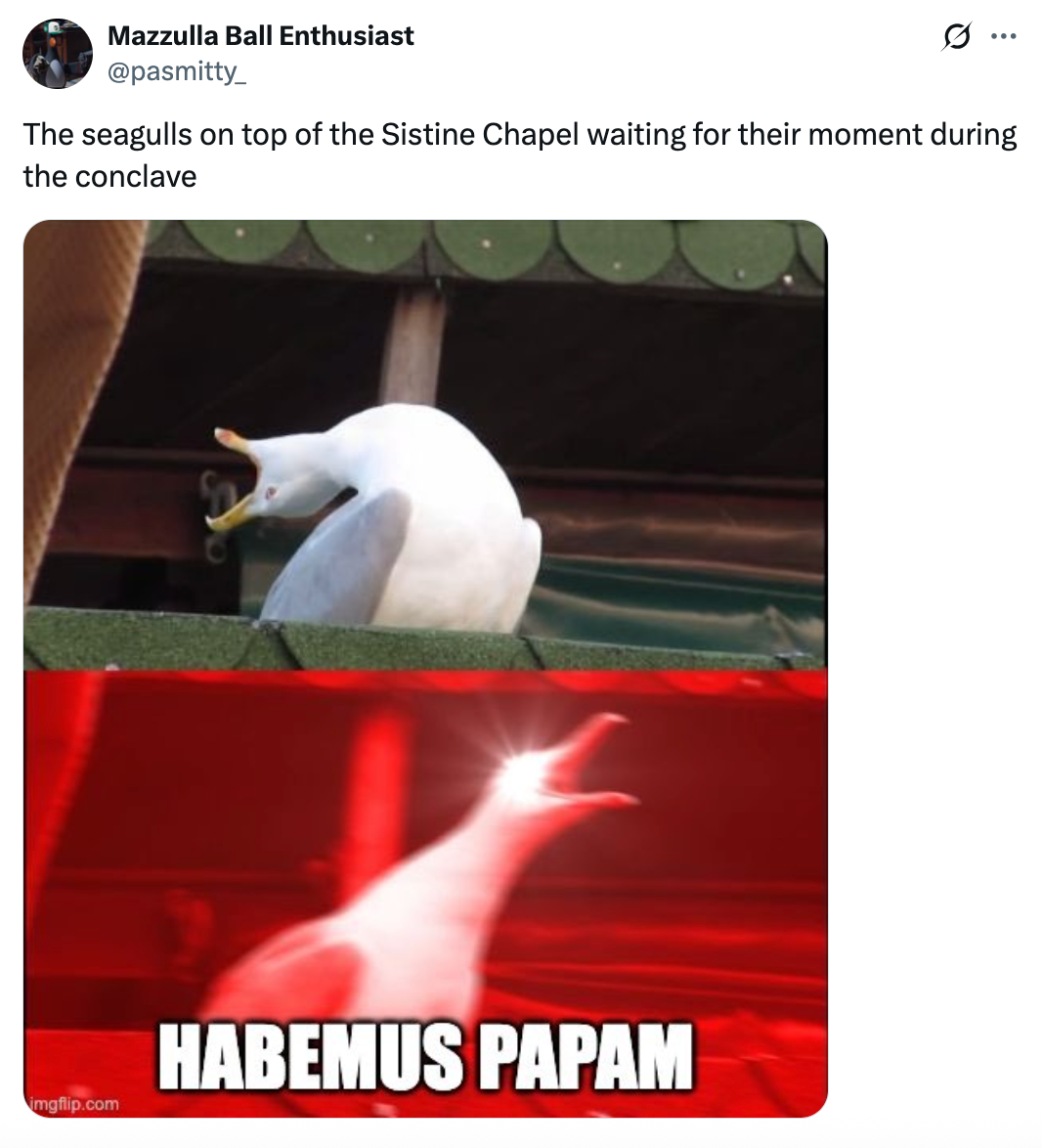 A two-part meme of a seagull. Top: Seagull looking down from a roof. Bottom: Seagull with a red background and text "HABEMUS PAPAM"