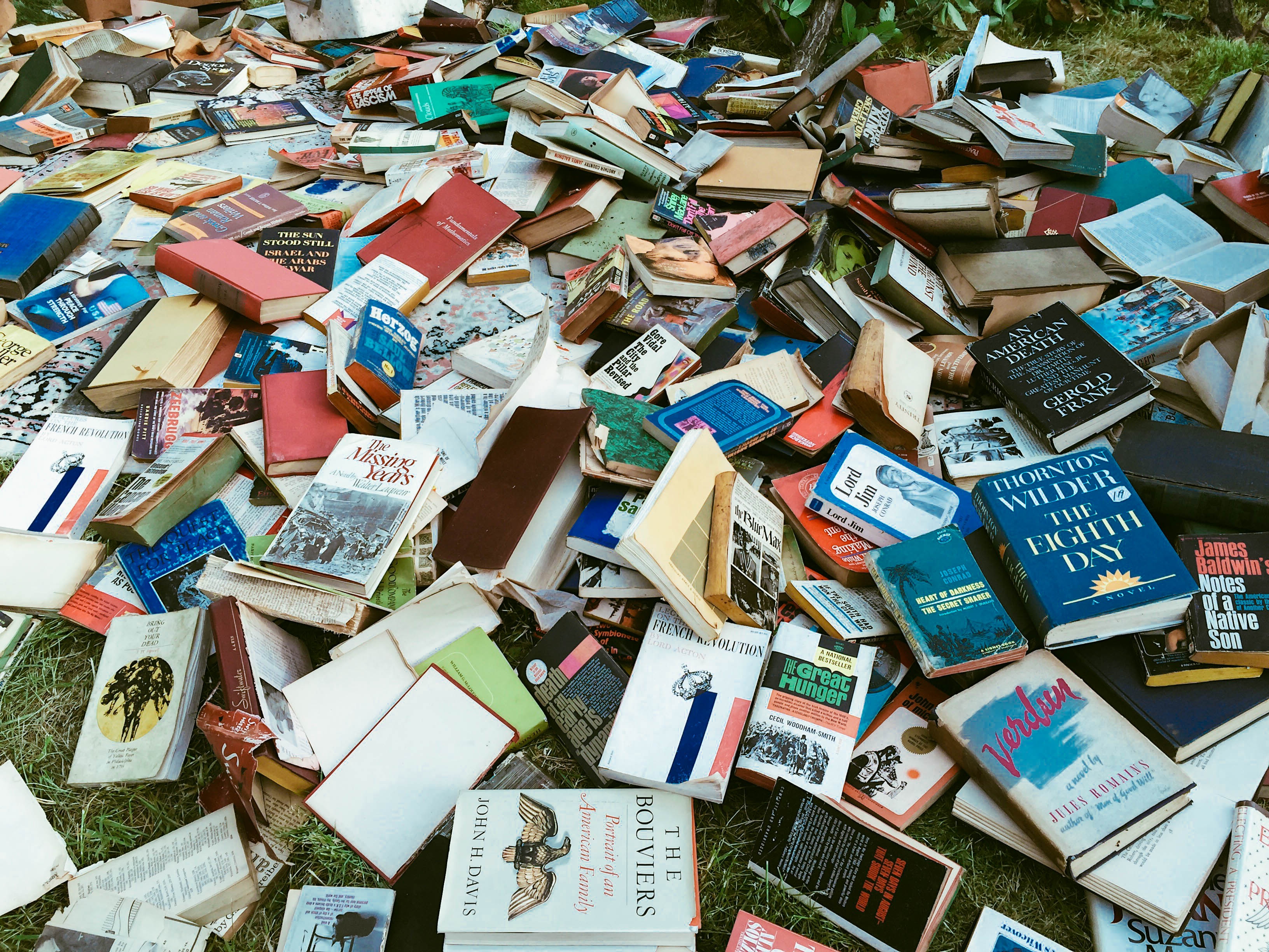 Hundreds of various books scattered on the ground, some open, displaying a chaotic assortment of covers and titles
