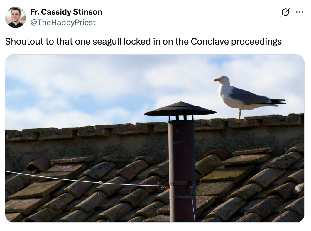 Seagull stands attentively on a tiled roof next to a chimney, with clouds in the sky. Text: Shoutout to that one seagull locked in on the Conclave proceedings