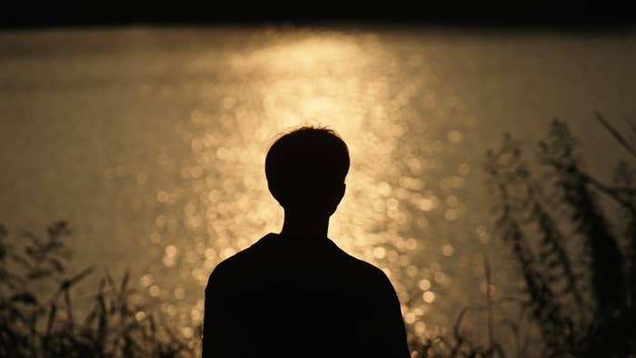 Silhouette of a person facing a sunlit lake, surrounded by plants at the water's edge