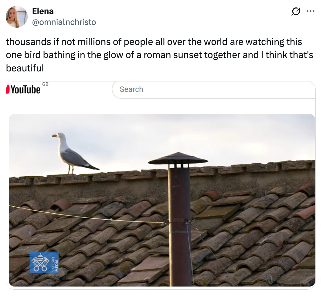 A seagull stands on a tiled rooftop near a chimney under a cloudy sky