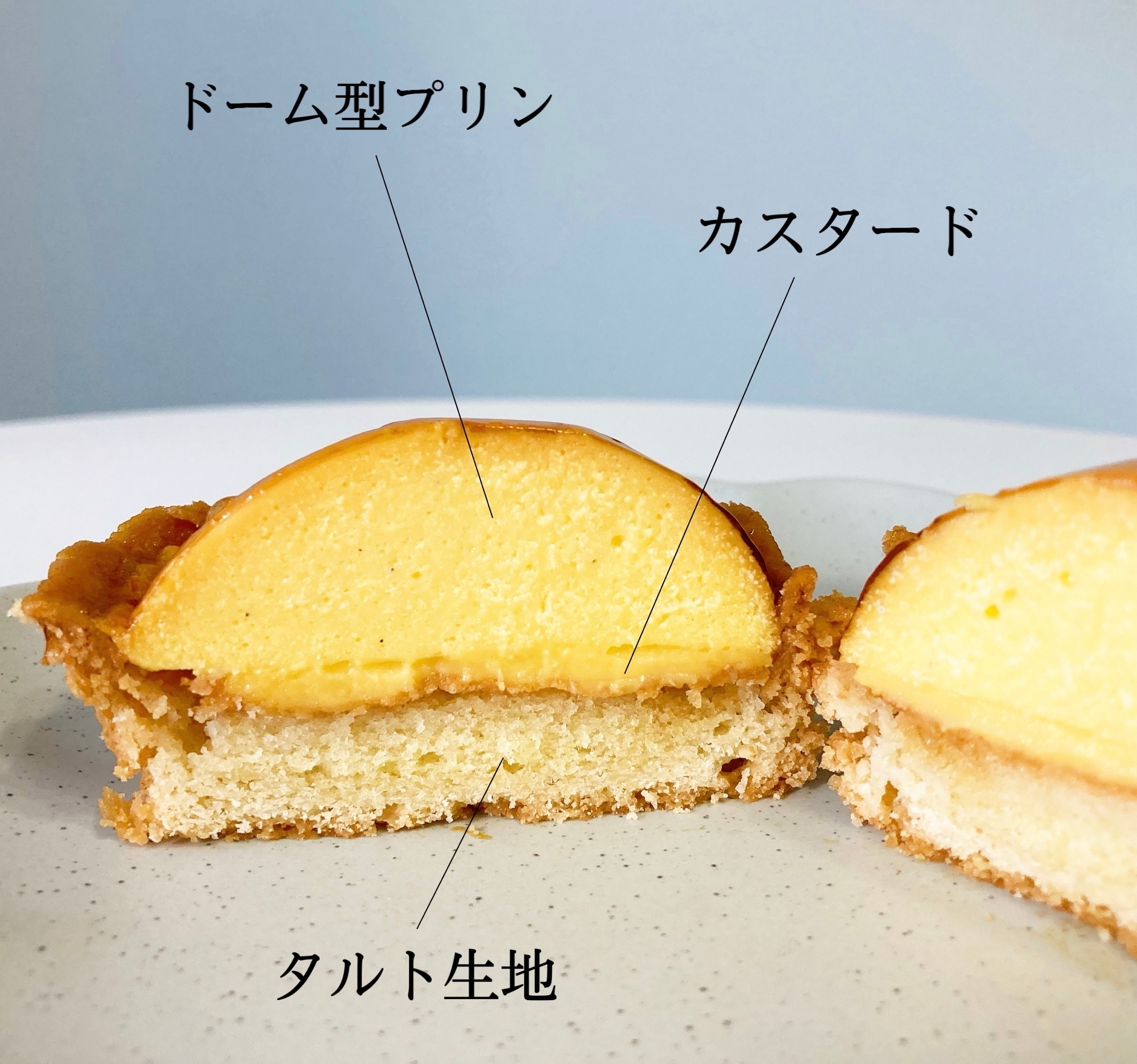 ドーム型プリンの断面図。カスタードとタルト生地の層が見える。