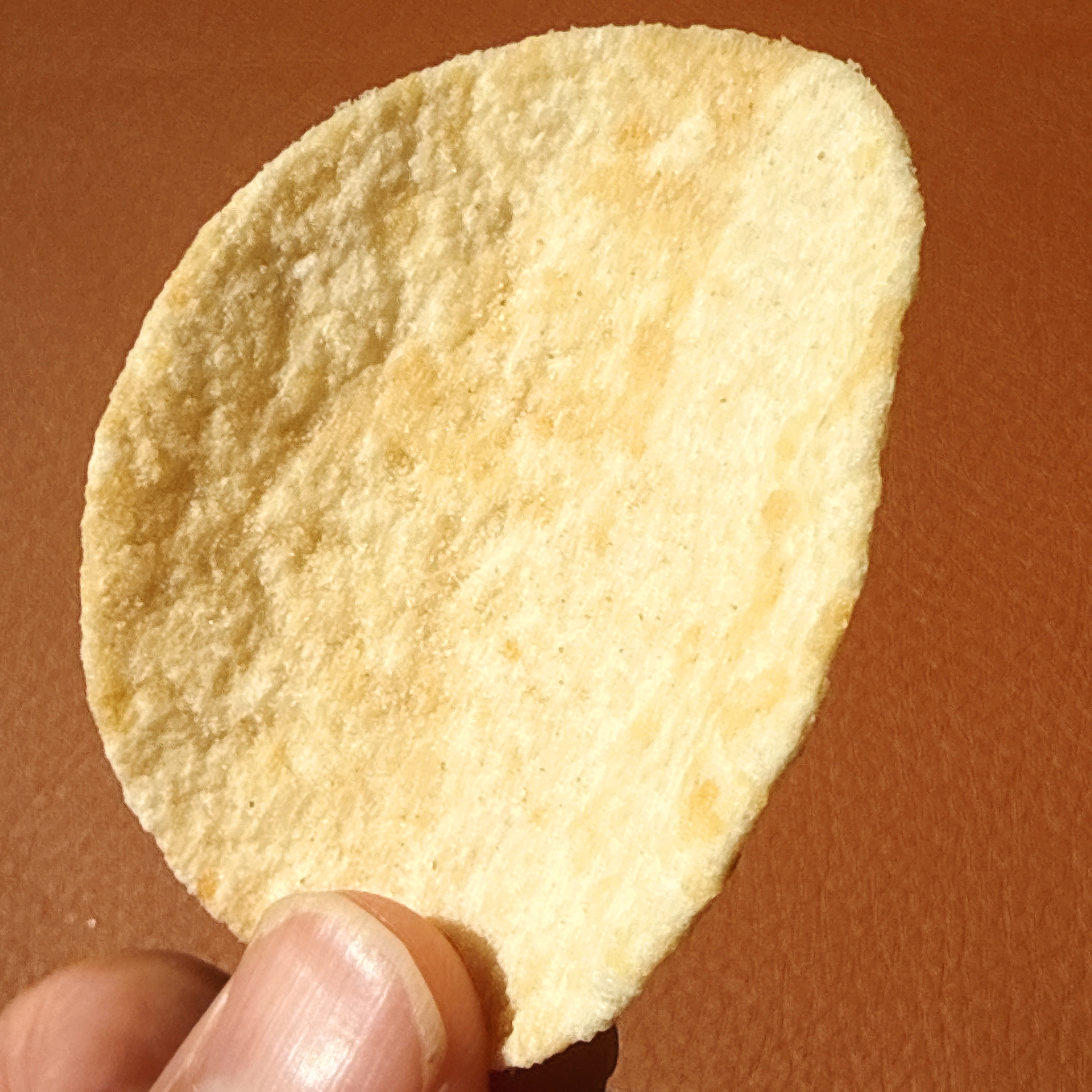 人が手で持っている一枚のポテトチップス。