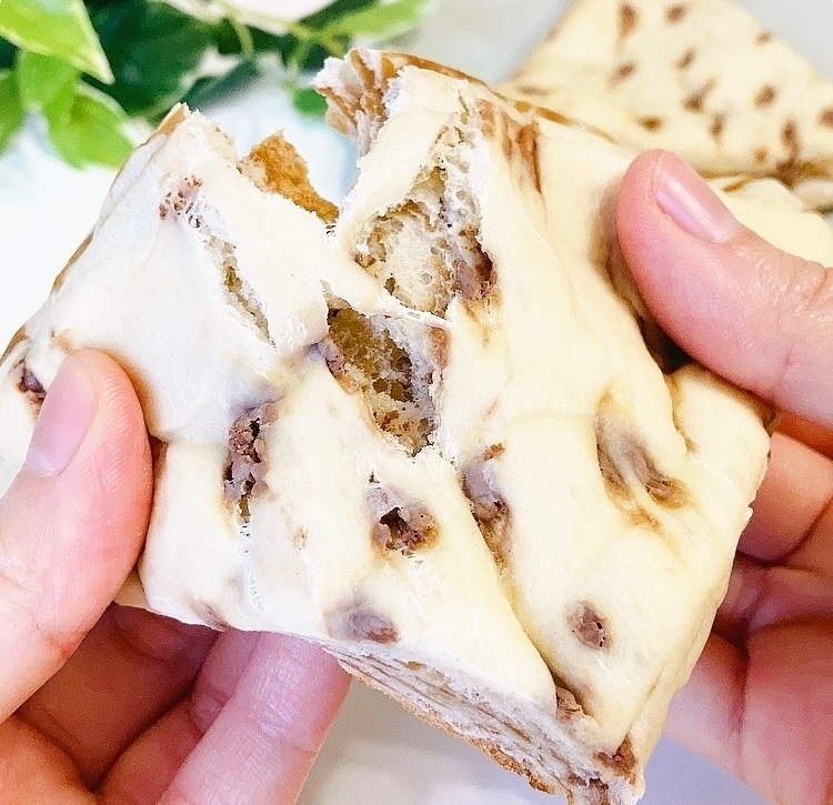 手で割られたチョコチップ入りパン。しっとりとした食感で、背景に観葉植物がある。