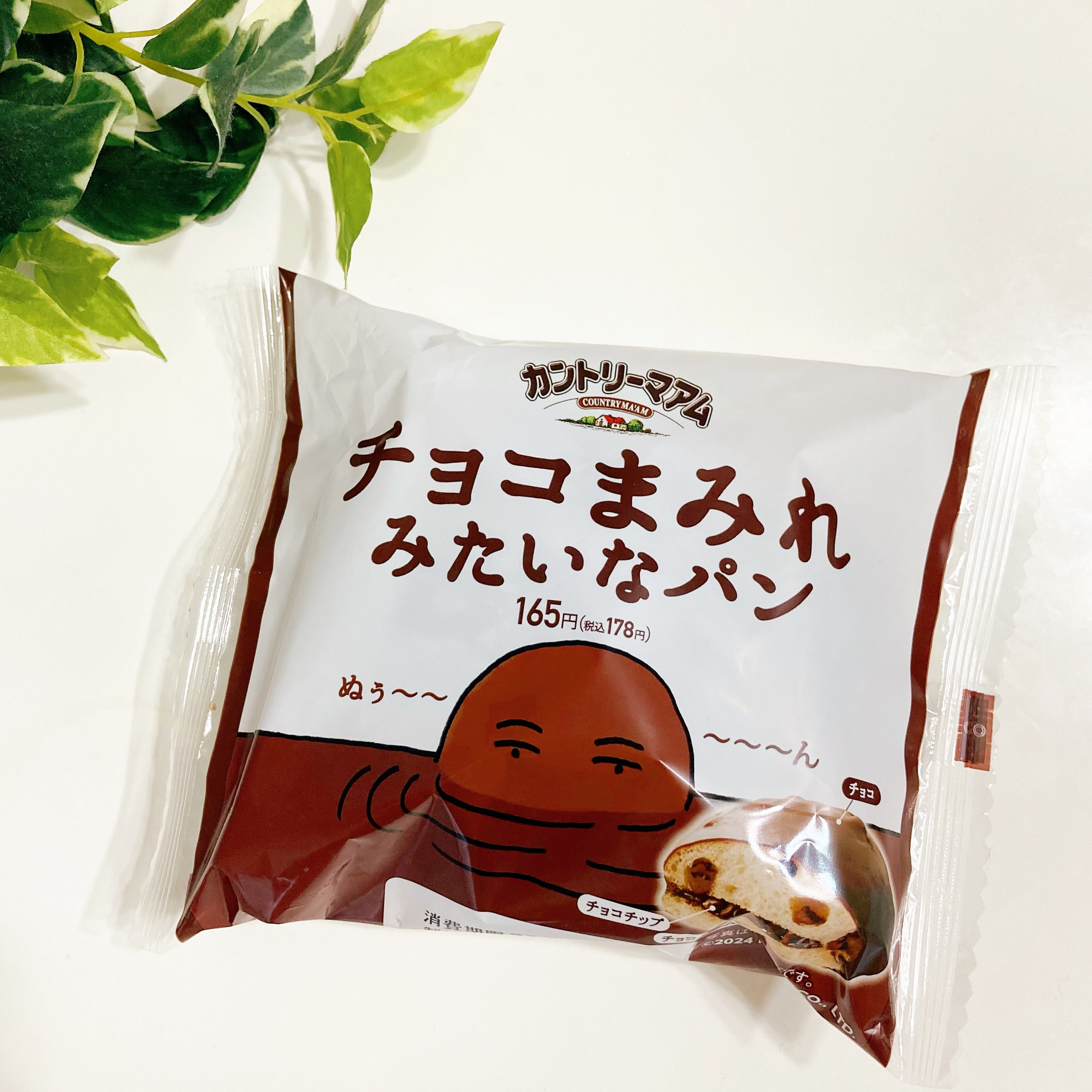 袋に入ったチョコまみれみたいなパンのパッケージ。上部に緑の葉の飾り。