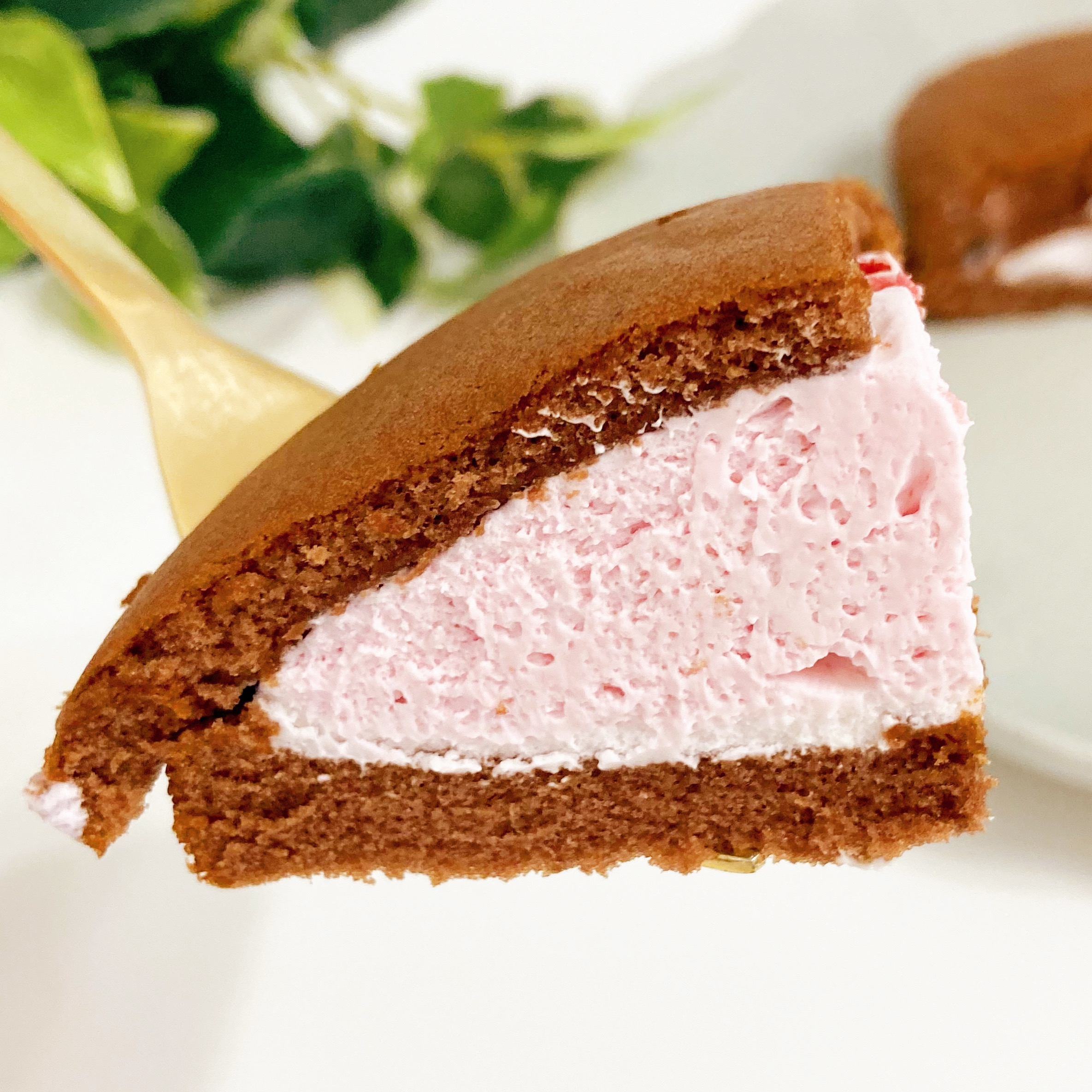 スプーンに乗ったクリームを挟んだチョコレート生地のケーキの切れ端。背景に緑の葉。