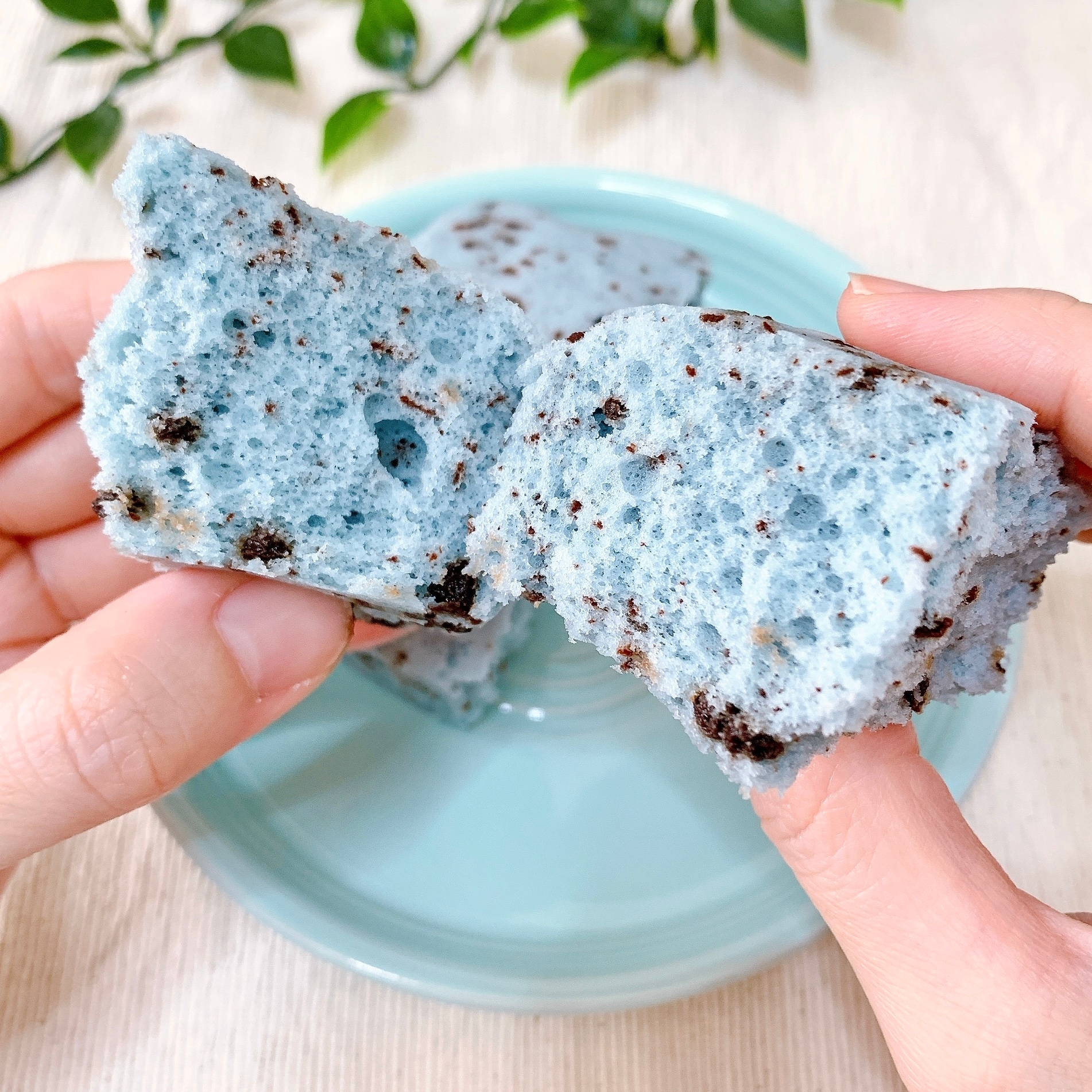 人が青い蒸しパンを割っているところ。パンの中にはチョコレートの粒が見える。背景に緑の葉が少し見える。