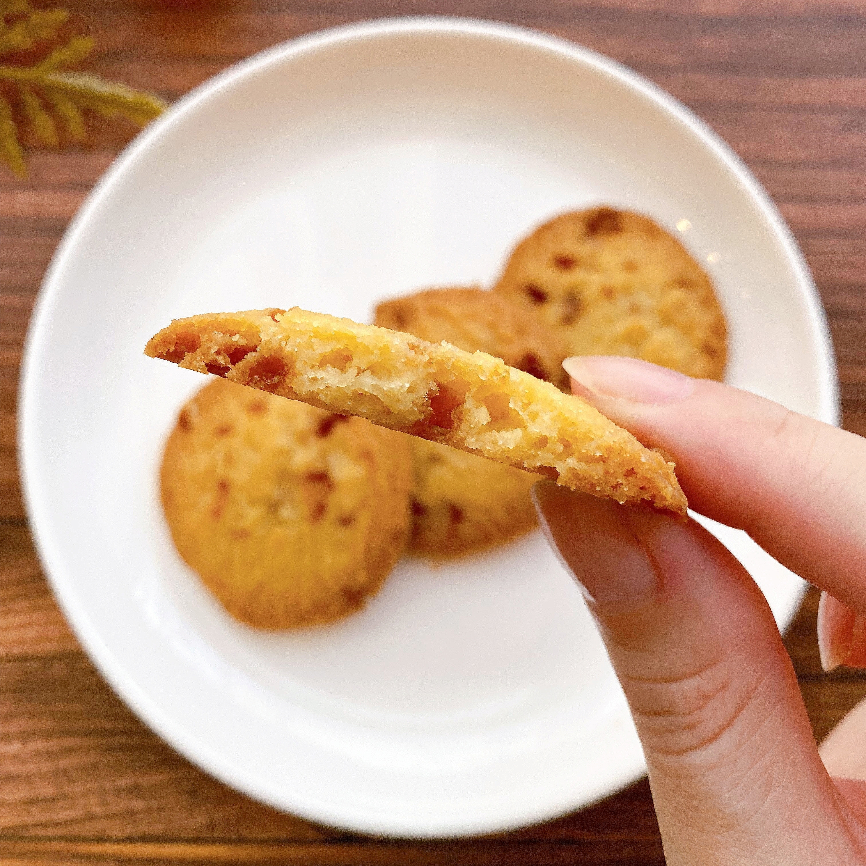 白い皿に載った数枚のクッキーを、手に持ち半分に割っている様子。クッキーはサクサクして見える。
