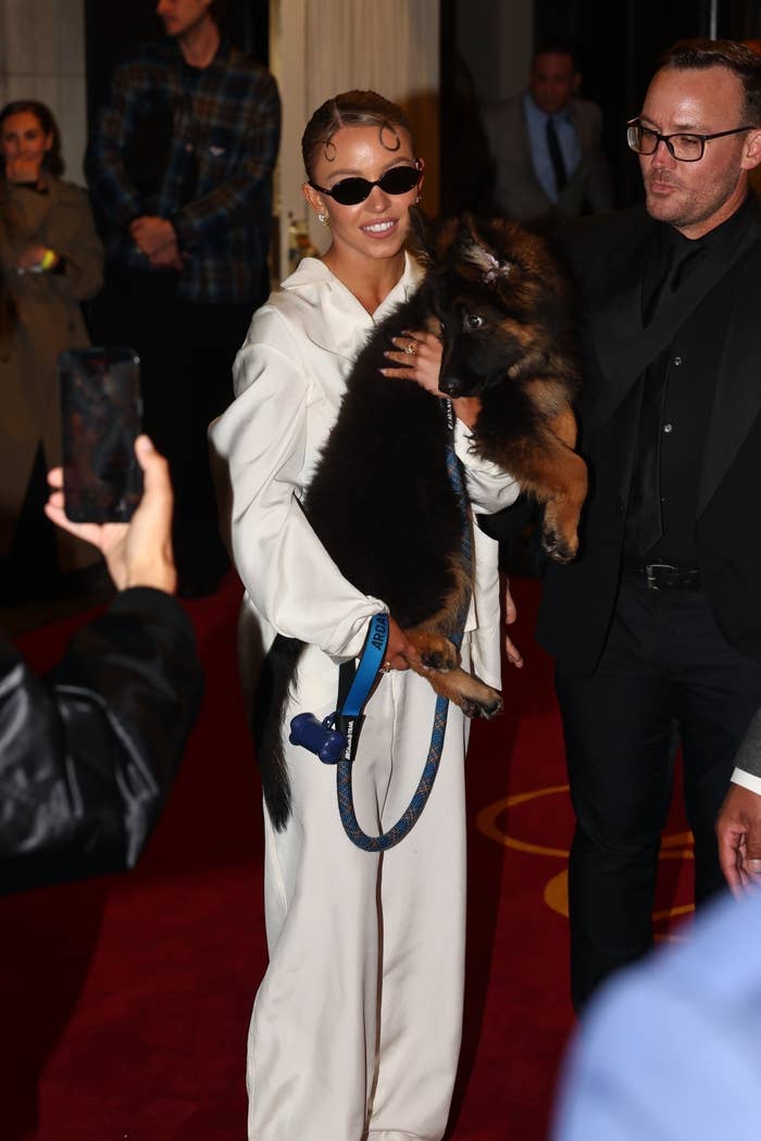 Sydney Sweeney holding a German Shepherd puppy on a red carpet, surrounded by people