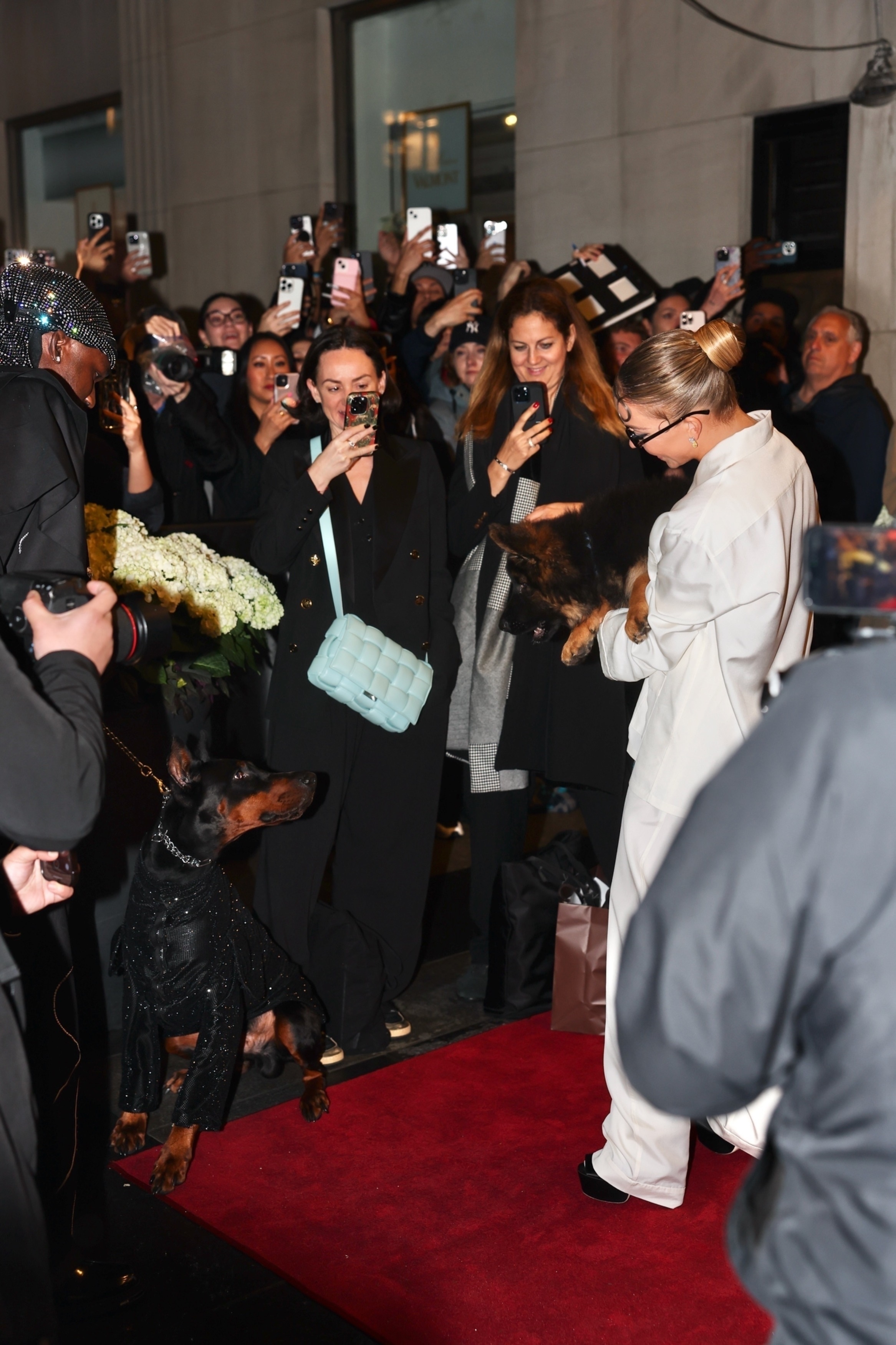 Sydney Sweeney holding a small dog on a red carpet, surrounded by a crowd taking photos
