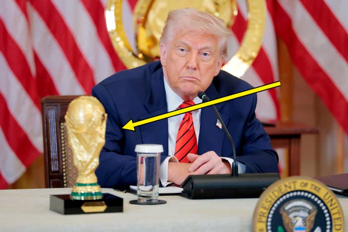 Donald Trump sitting astatine property league with World Cup trophy