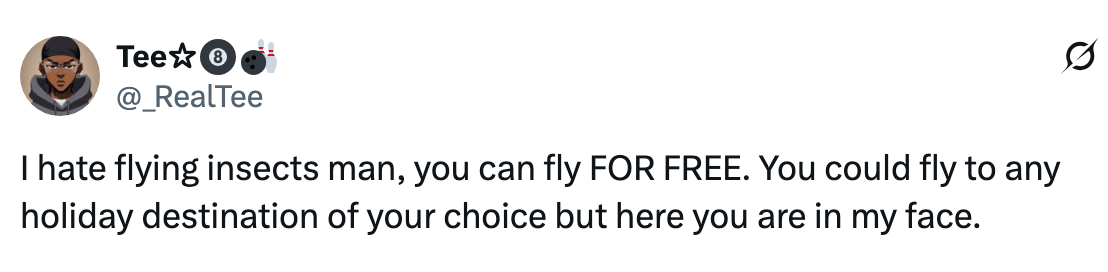 Tweet about frustration with flying insects, humorously noting they could fly anywhere for free but choose to annoy the speaker
