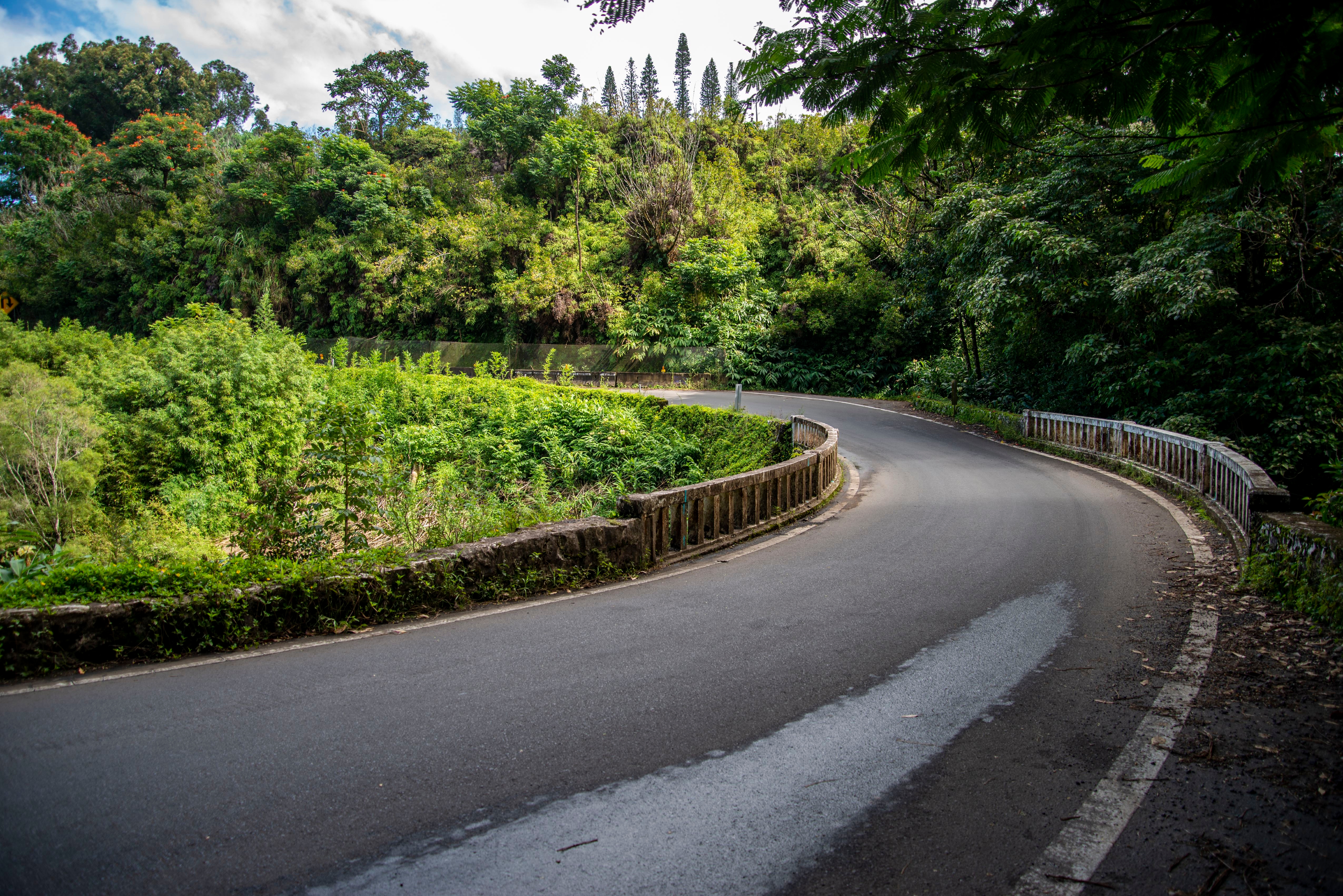 Curved road winding through lush, dense greenery with trees lining both sides. Scenic travel destination suggests tranquility and nature exploration