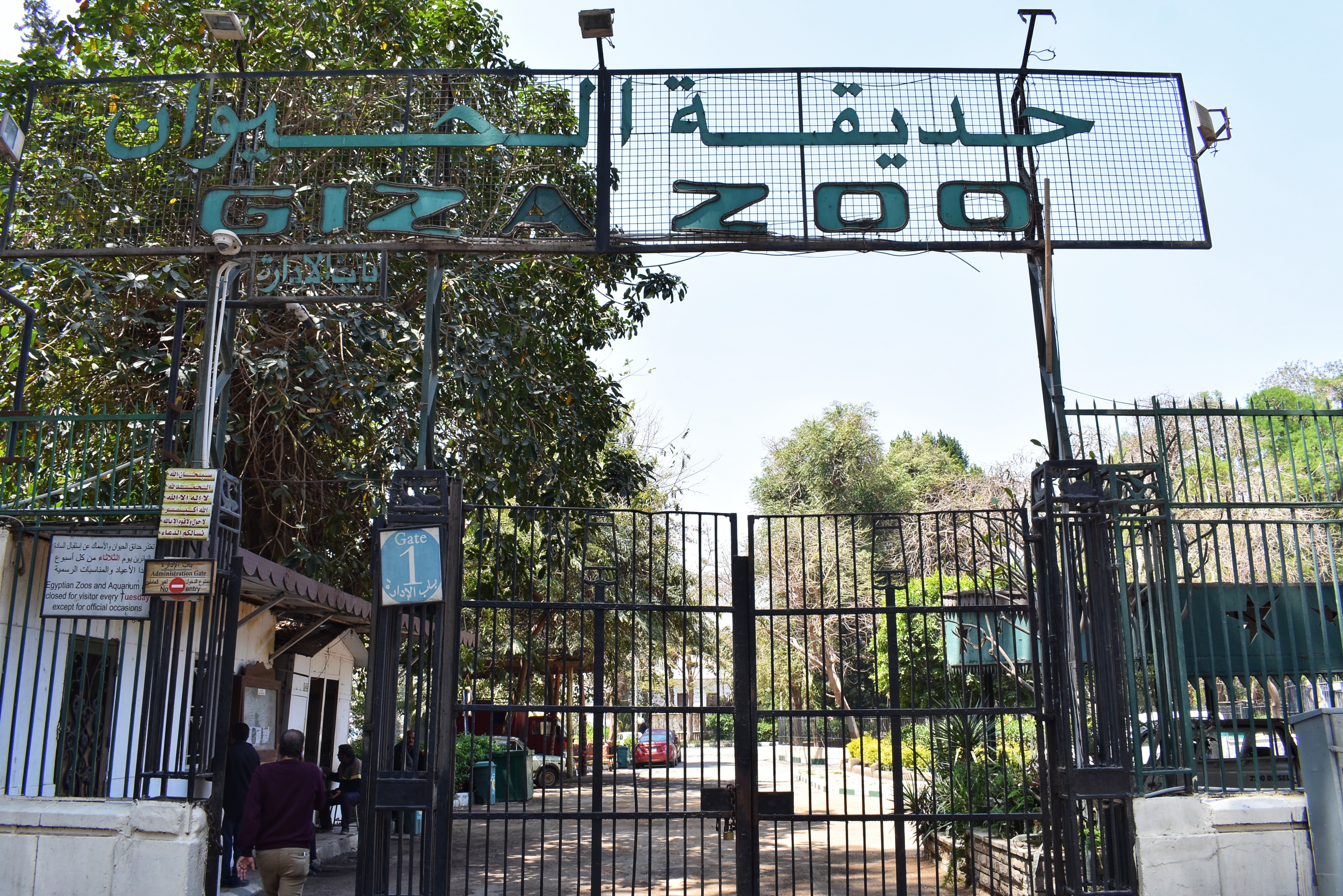 Entrance gate to Giza Zoo, featuring Arabic and English signage, with a tree-lined pathway visible beyond the gate