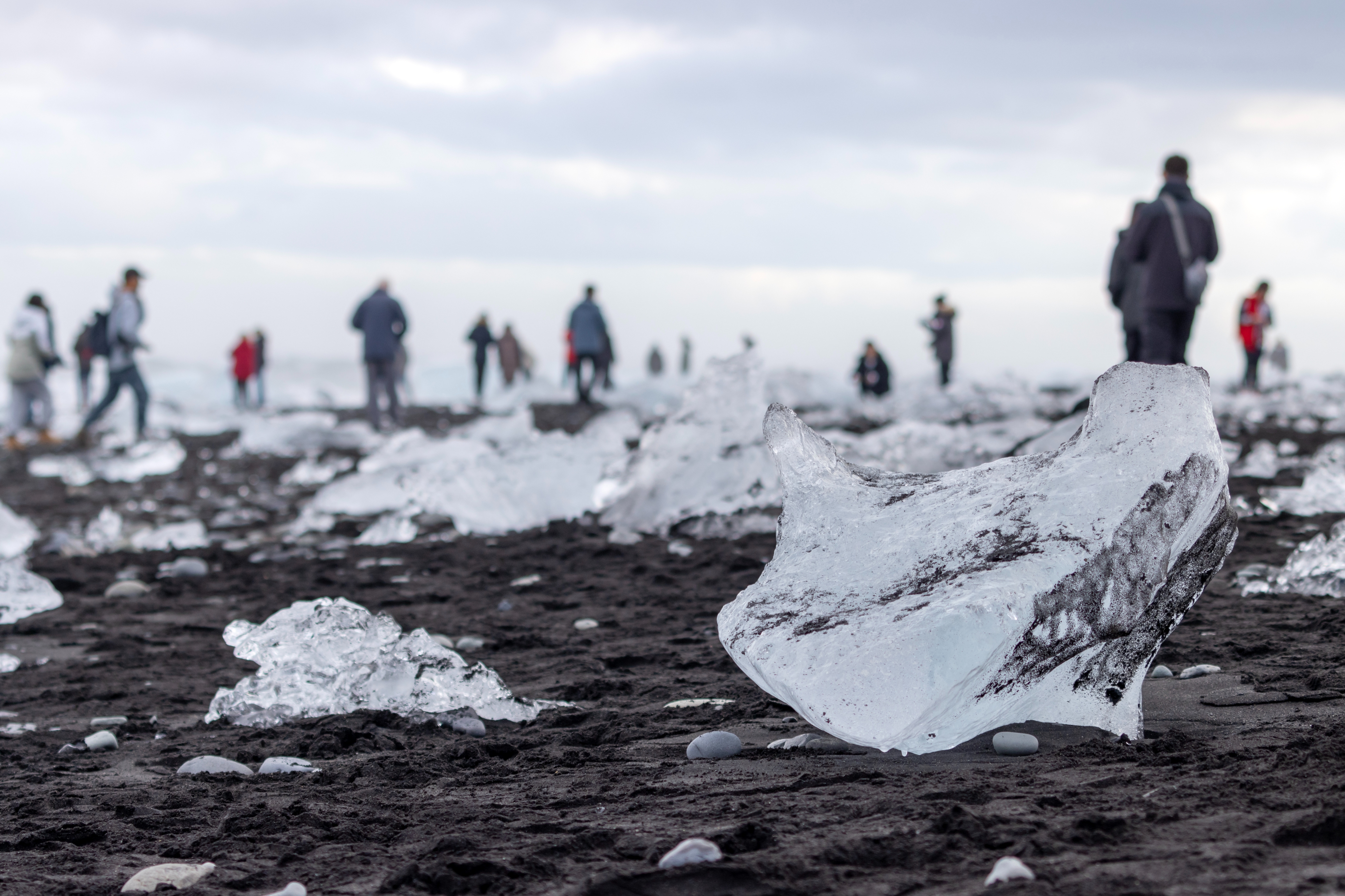 People walking among ice chunks on a black sand beach, capturing the contrast in an outdoor travel setting