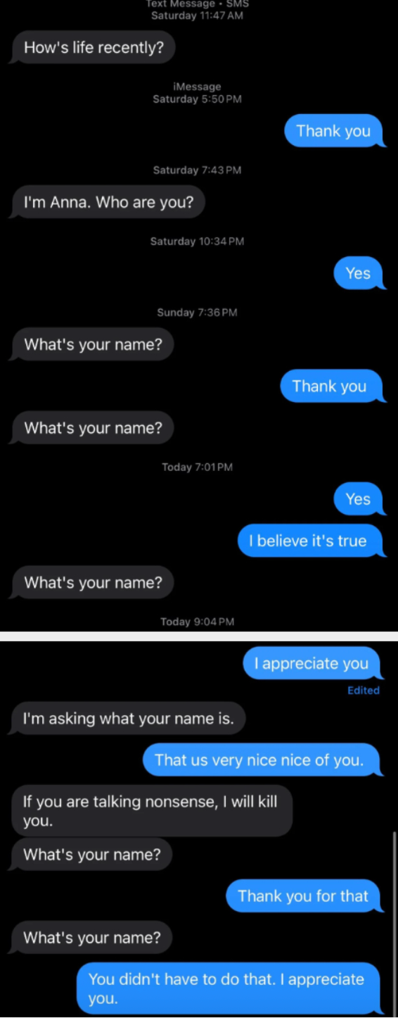 A chat shows repeated messages asking for a name, with polite responses, ending in expressions of appreciation