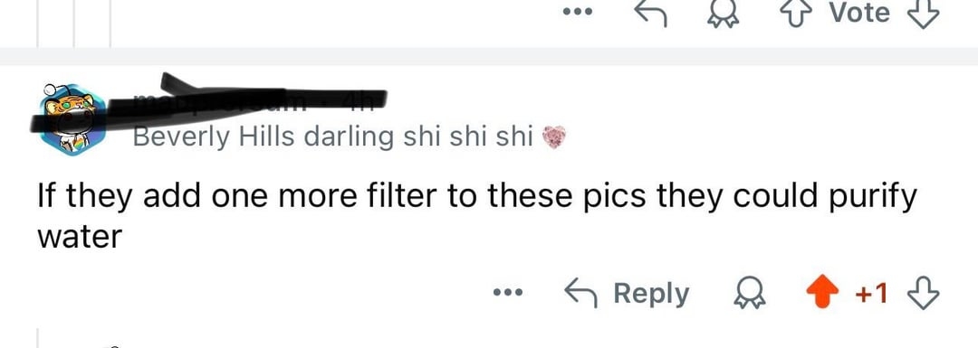 Comment joking: "If they add one more filter to these pics they could purify water"