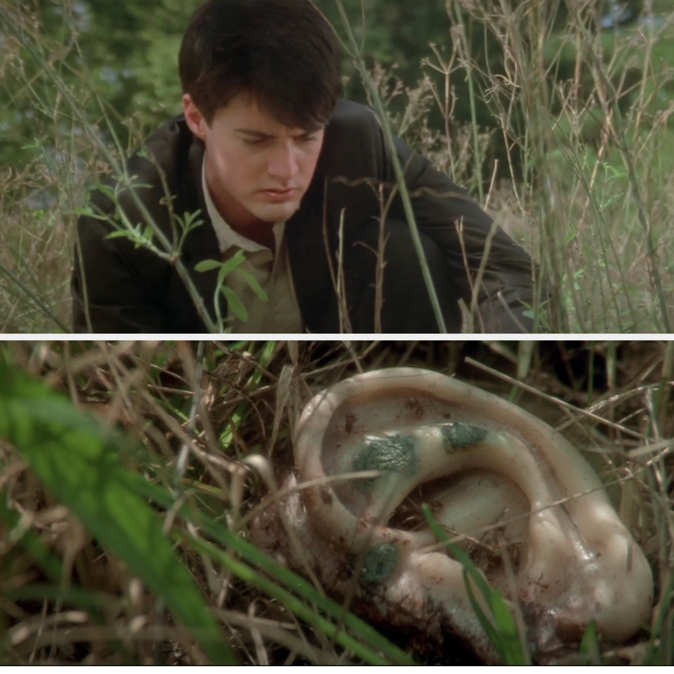 Kyle MacLachlan finds a severed, moldy ear in the grass
