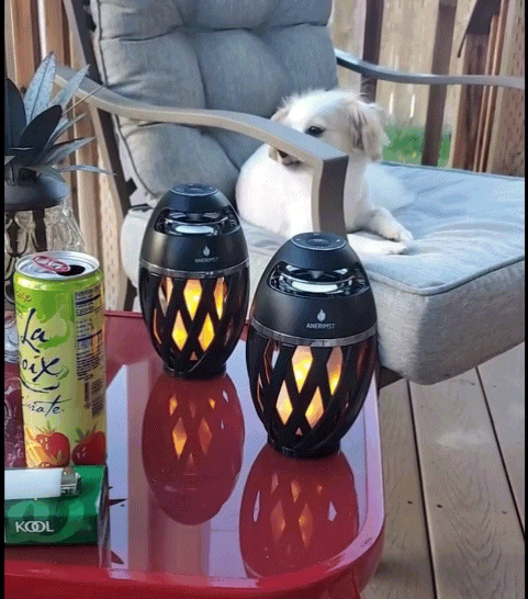 Post image 38