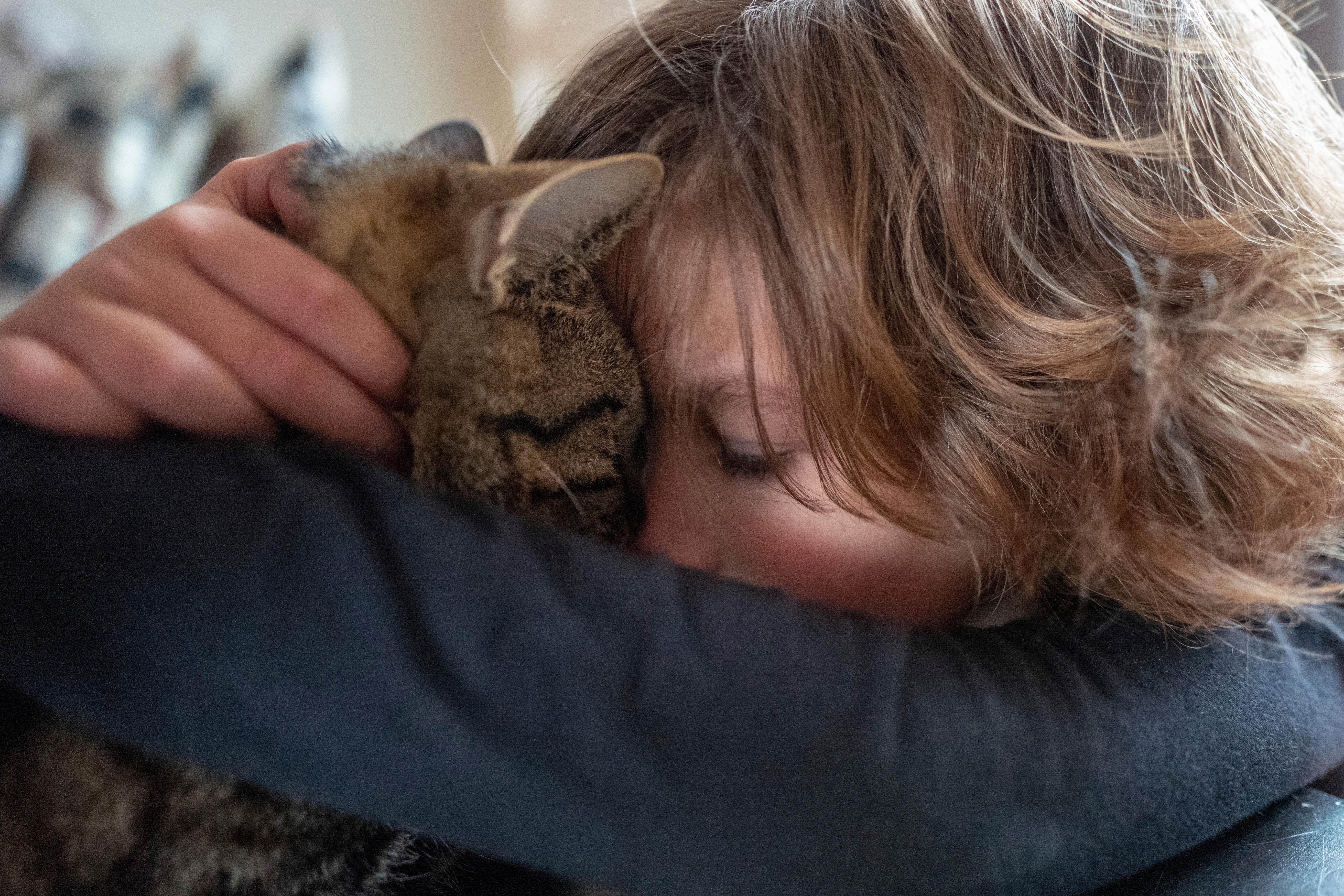 Person gently hugging a content cat, eyes closed, conveying warmth and affection