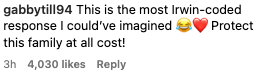 Comment saying it's an Irwin-themed response, expressing admiration and support for the family, with emojis included
