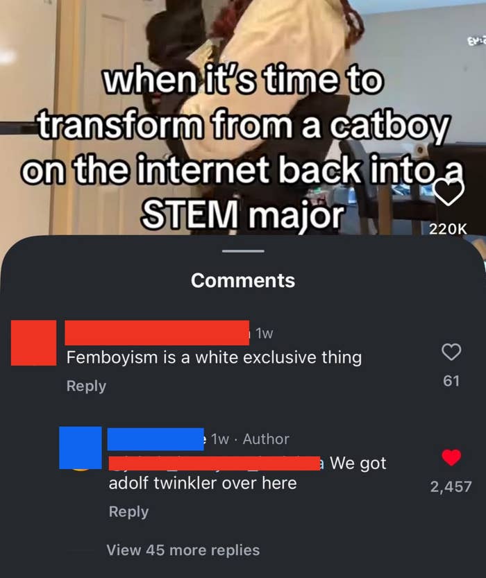 A Tiktok video astir being a catboy with a remark that says femboyism is white-exclusive. Another remark responds, calling them "Adolf Twinkler"
