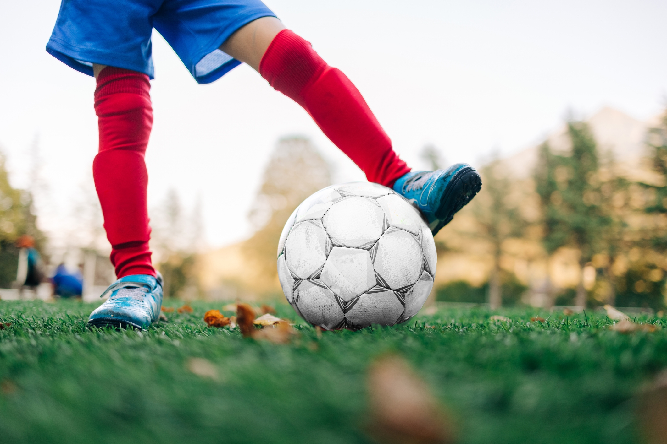 A child in sports gear kicks a soccer ball on a grassy field, surrounded by trees