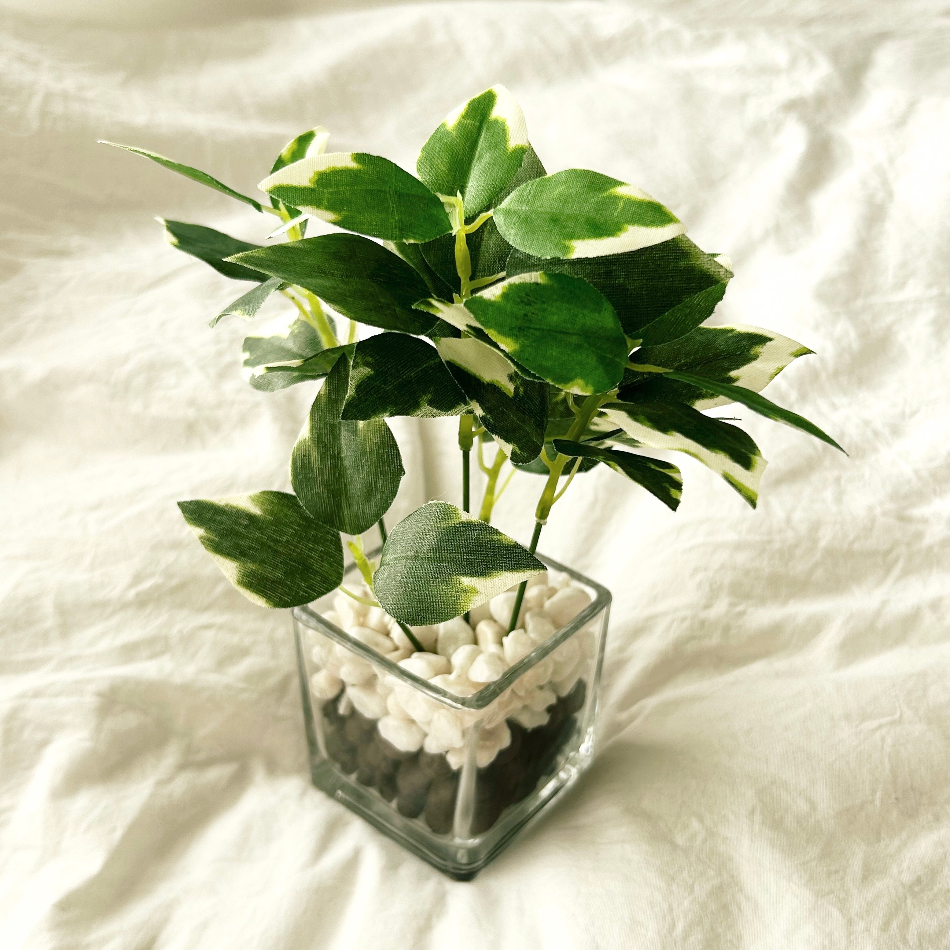 【ピスト用フロントホイール】貴重なオシャレグリーン カラテア フェイクグリーン おしゃれ 人気 リアル おすすめ