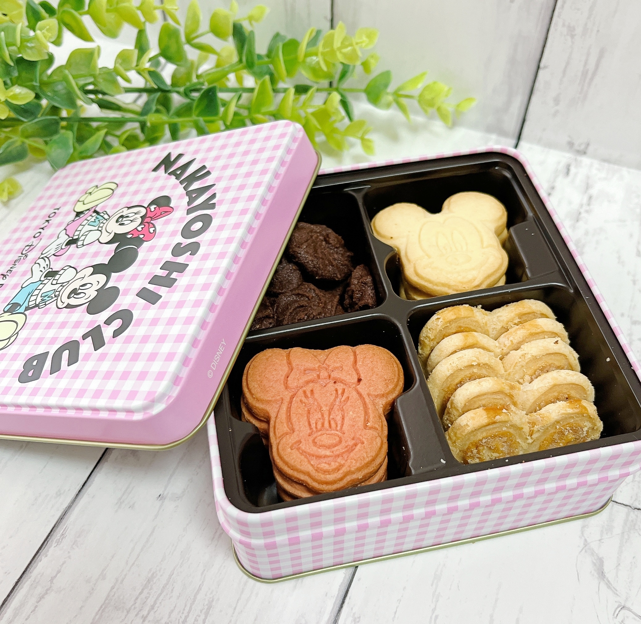 ミッキーとミニーの顔の形をしたクッキーが入ったお菓子の缶。背景には緑の植物。