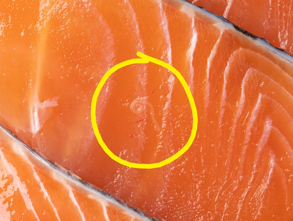 Why Wild-Caught Salmon Contains Worms