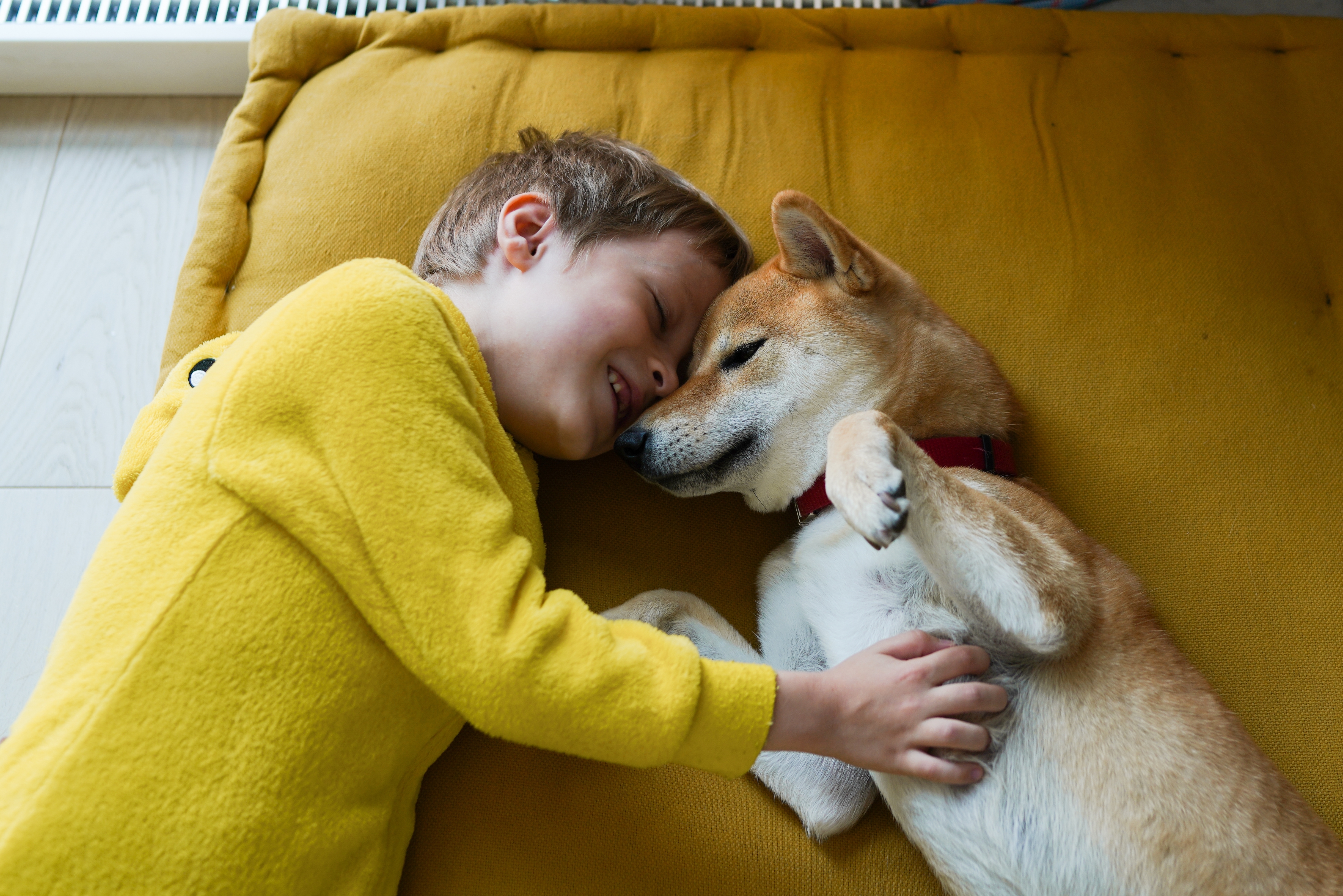 Child cuddles happily with Shiba Inu on a cushion