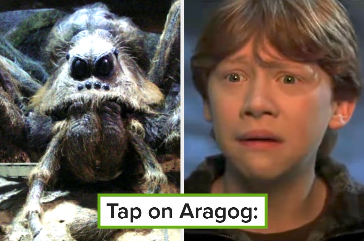 You Might Think You're A Huge "Harry Potter" Fan, But 63% Of Fans Actually Can't Name These 16 Creatures From The Series