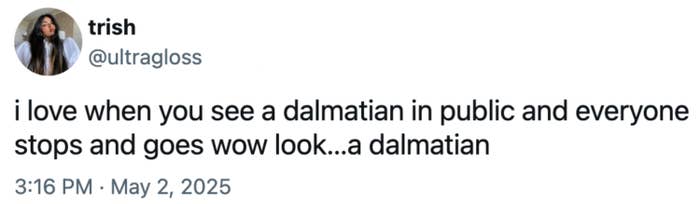 Tweet by user expressing joy at how people react to seeing a dalmatian in public