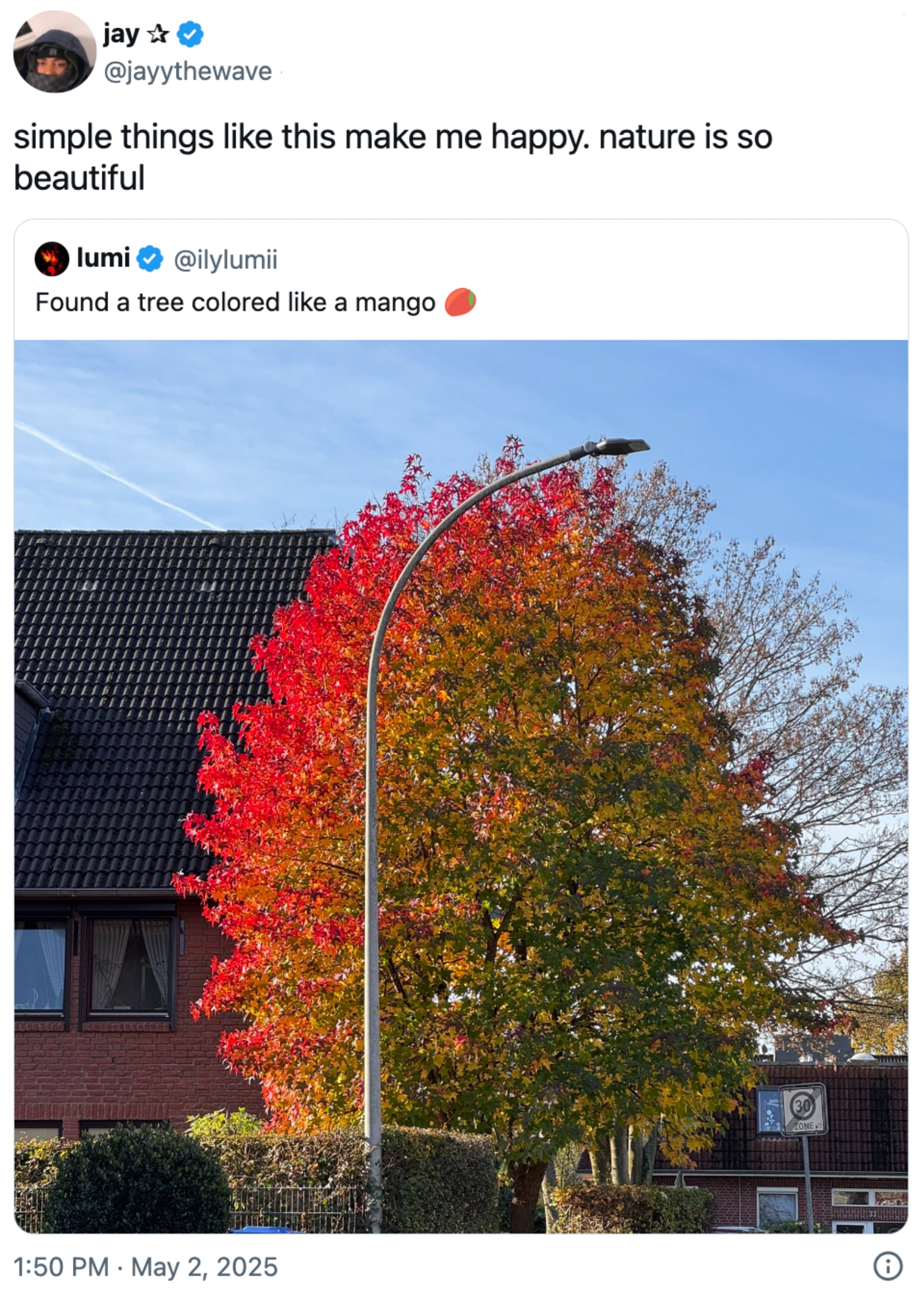 Tree with green and orange-red leaves beside a house. Tweets express joy and appreciation for nature's beauty