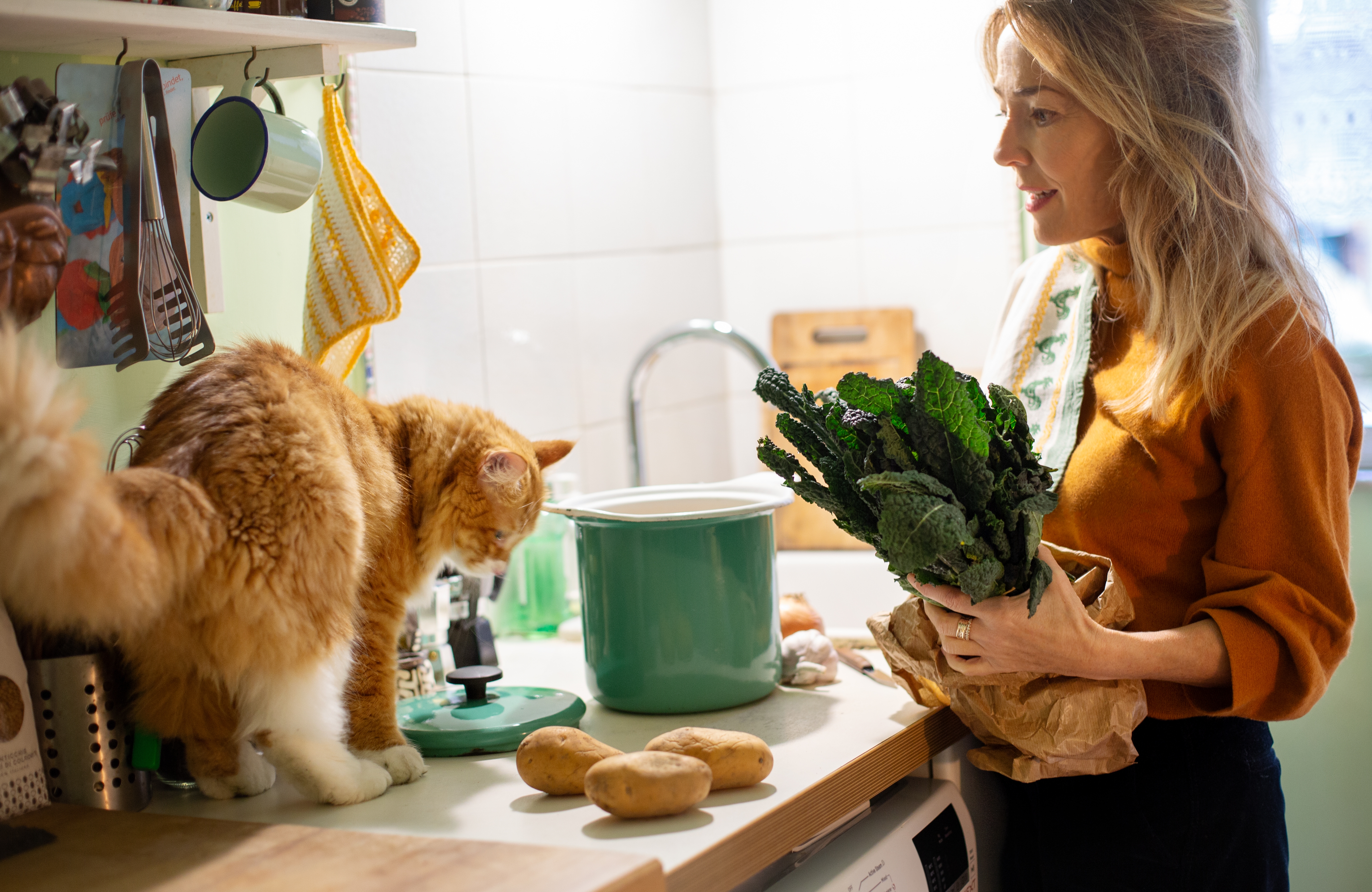 Person holding kale in a kitchen while a cat observes potatoes on the counter