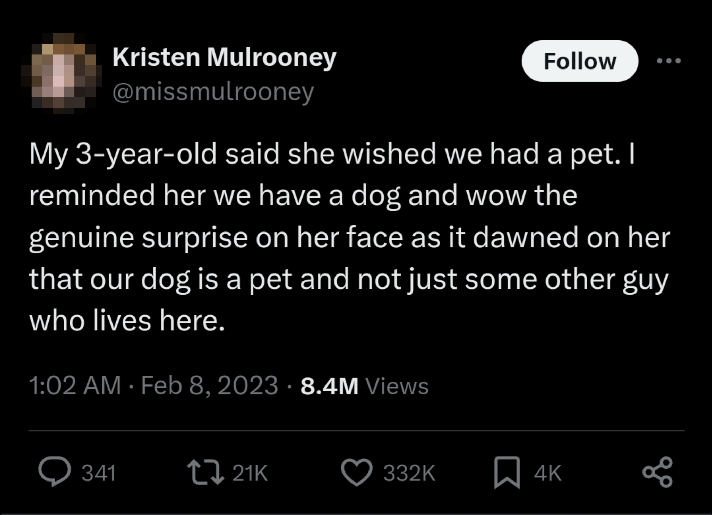 Tweet by Kristen Mulrooney about her 3-year-old wanting a pet and not realizing their dog is a pet, not just some other guy living with them