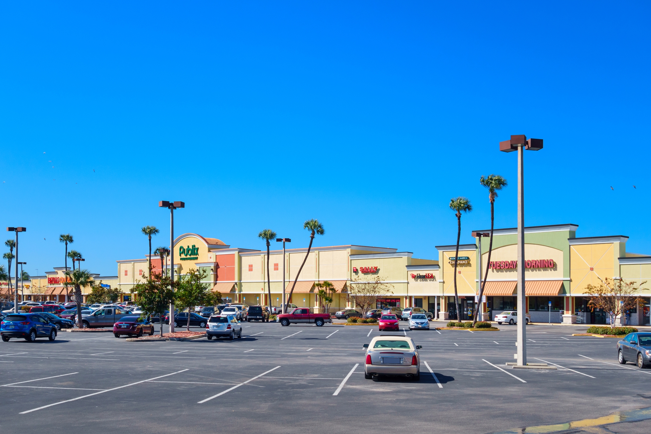 Shopping plaza with various stores, including Publix, and a large parking area. Palm trees line the street under a clear sky