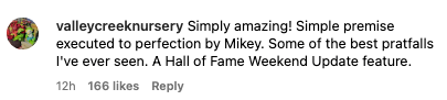Comment praising Mikey for comedic skill, mentioning expertly executed pratfalls and suggesting a Hall of Fame Weekend Update feature